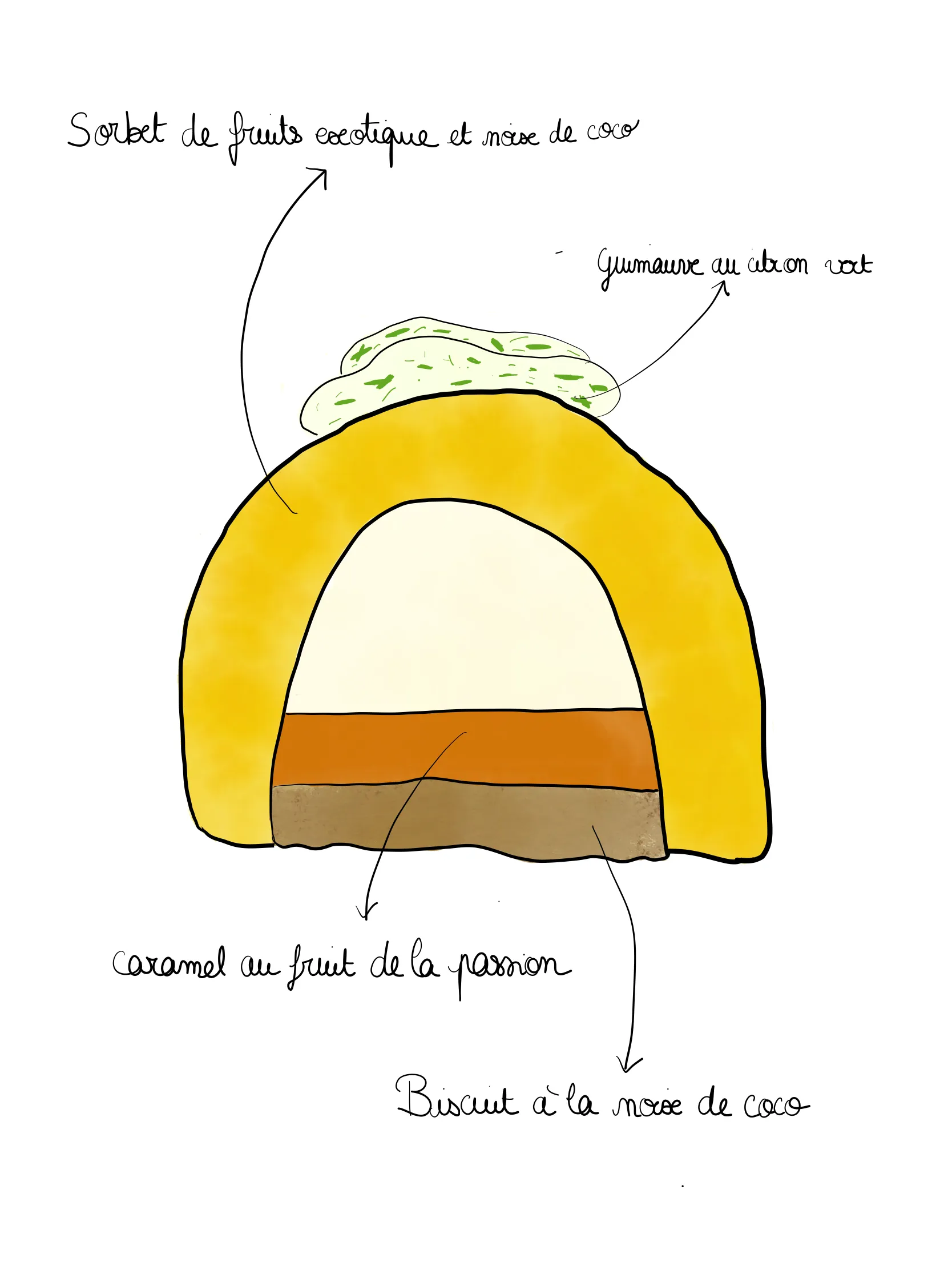 Bûche glacée : Délice des Îles – Image 2